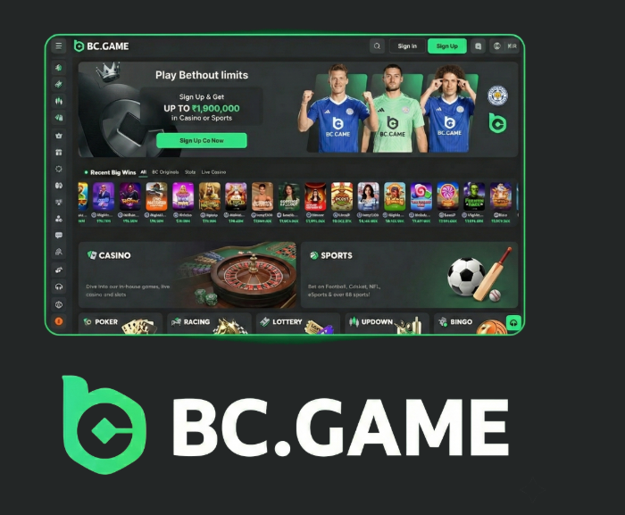 Understanding the BC.Game Login Process for Seamless Access Understanding the BC.Game Login Process for Seamless Access